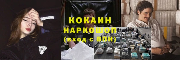 прущие грибы Аркадак