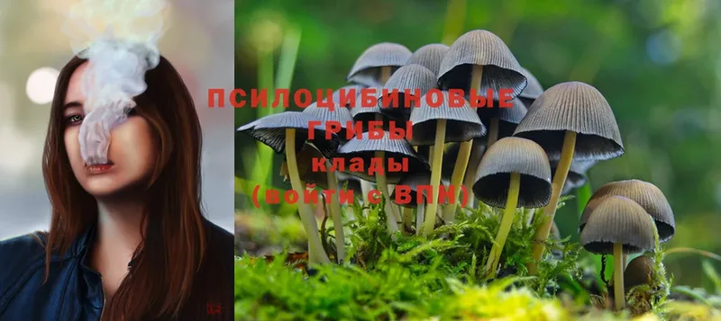 Галлюциногенные грибы MAGIC MUSHROOMS  Кремёнки 